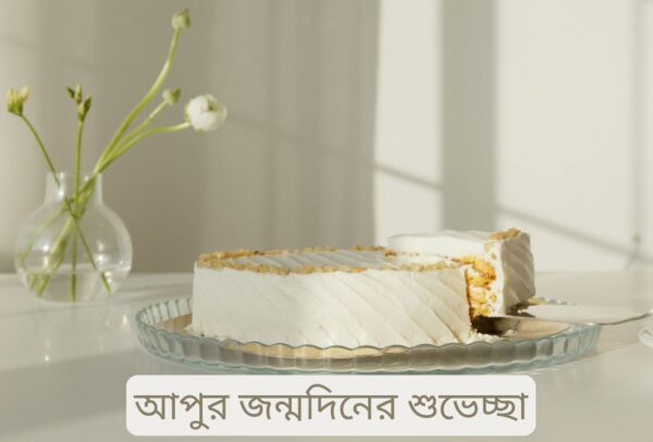 আপুর জন্মদিনের শুভেচ্ছা