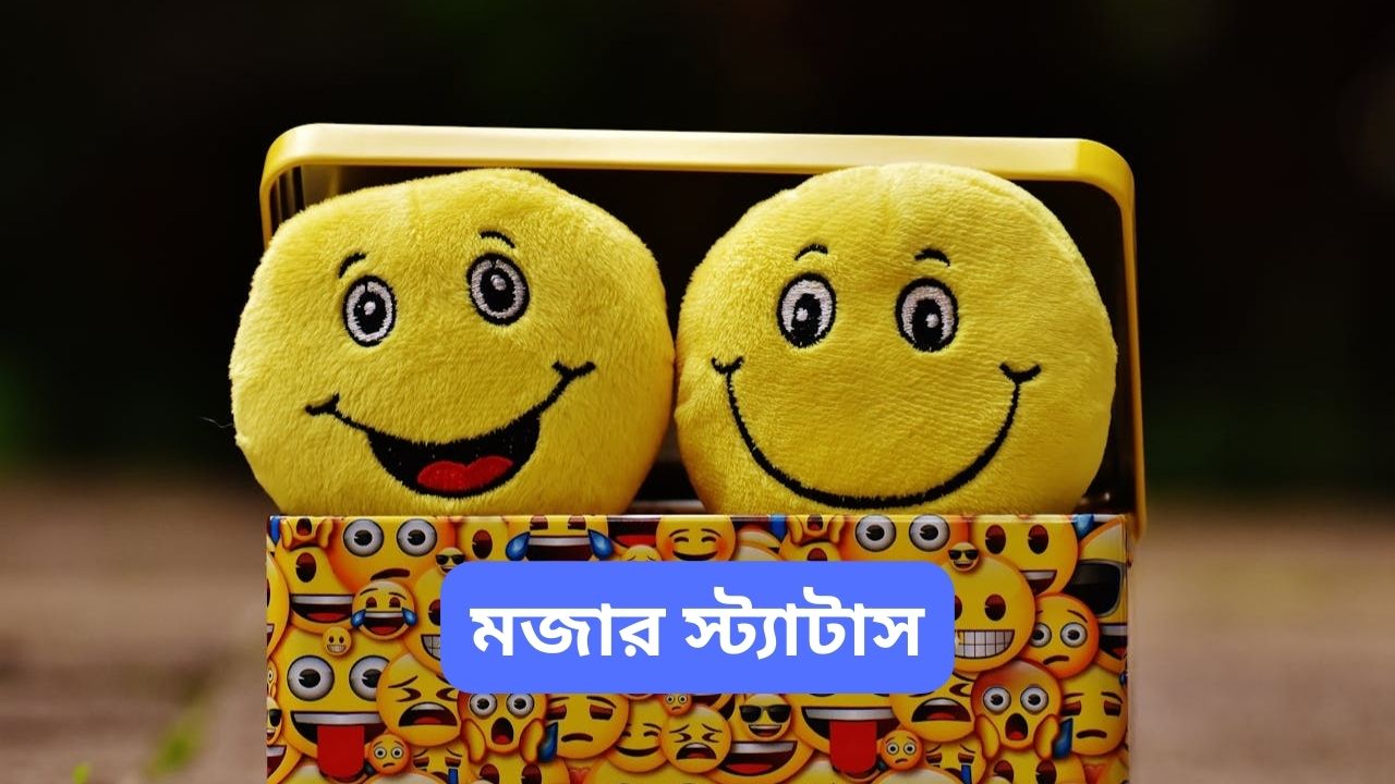 মজার স্ট্যাটাস l Funny Status